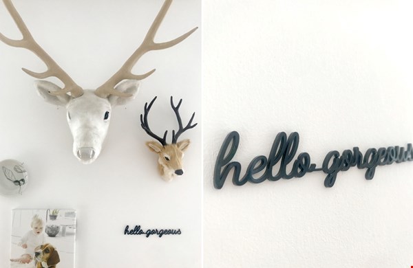 Hello gorgeous! Hello gorgeous!